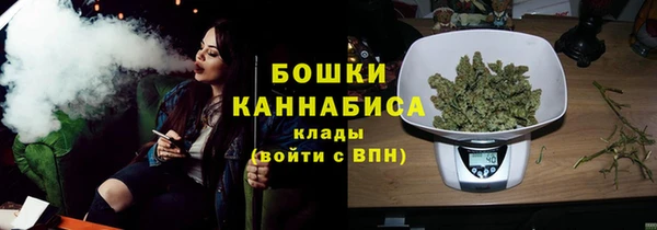 индика Лихославль