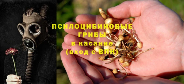 МДПВ Кукмор