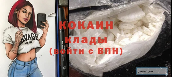 твердый Кулебаки