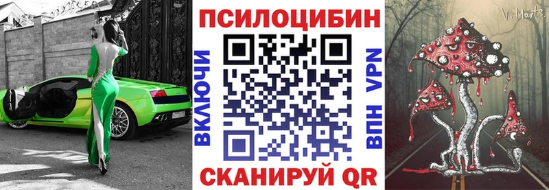 Галлюциногенные грибы прущие грибы  Кашира 