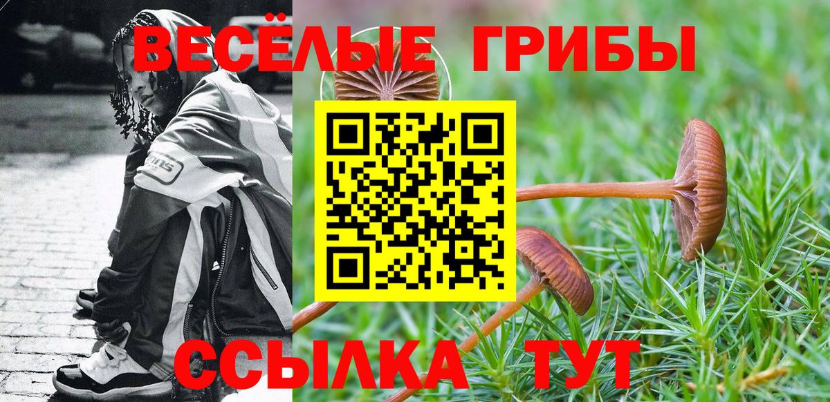 Псилоцибиновые грибы мицелий  Вход с VPN  Кашира 